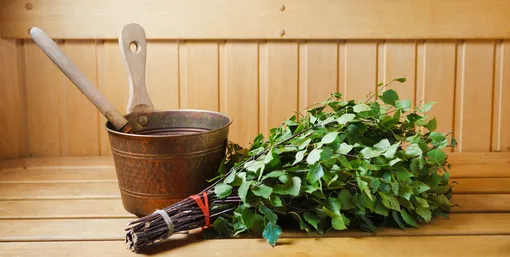 Береза. Берёзовые веники для бани: лечебное воздействие на дыхательную и опорно-двигательную системы