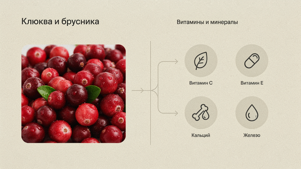 Клюква и брусника: польза и вред, состав, опасные двойники